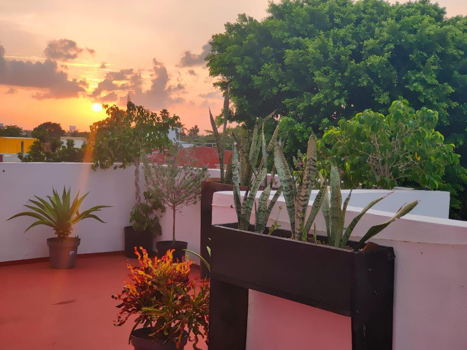 Casa Coraza Apartment Канкун Екстериор снимка